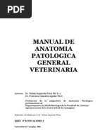 Download Anatomia Patologica General Veterinaria by NaTo Ortiz SN149600744 doc pdf
