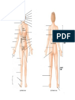 Q1. Anatomy and Physiology