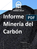 Informe Final Del Carbón