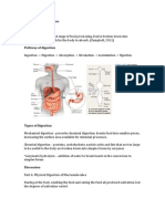 Physiology of Digestion