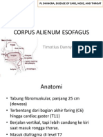 Corpus Alienum Esofagus