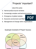 W1 Strategic Overview of Project Management (Incl PMI Approach)