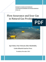 Flow Assurance and Sour Gas