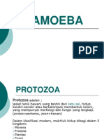 Amoeba 1