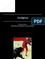 Analgesia Options GL