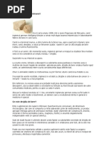 Norweg PDF | PDF