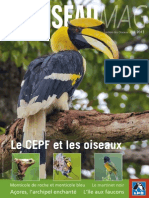 L'Oiseau Magazine n°111 (extrait)