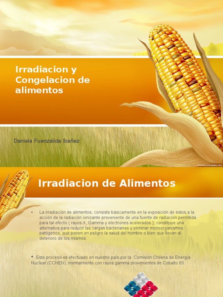 Irradiacion y Congelacion de Alimentos | PDF | Dosimetría | Radiación