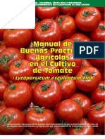 143540996 Manual BPA en Tomate