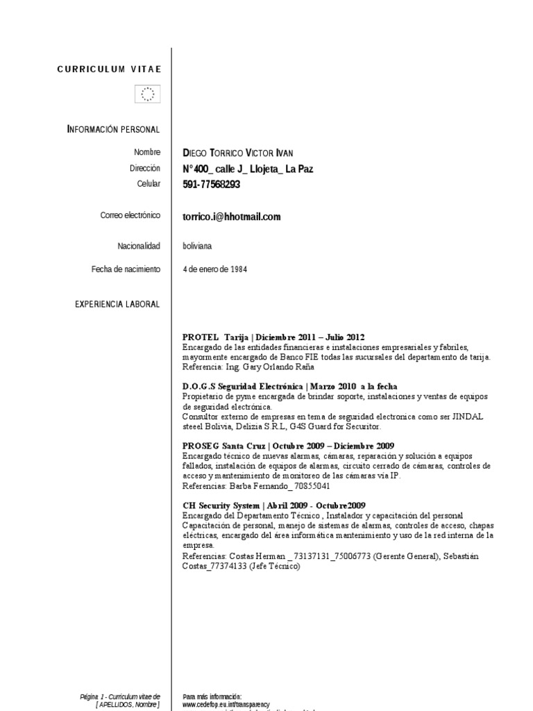 Curriculum vitae format in word image