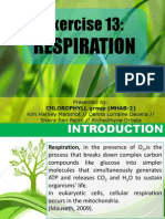 Respiration Bio21