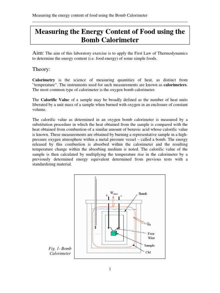 Food Energy Measurement with Calorimeter | PDF