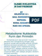 Metabolisme Purin dan Pirimidin