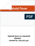 Typhoid Fever (1)