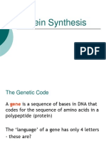 Protein Synthesis