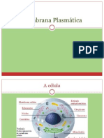 Membranaplasmtica 090706095844 Phpapp01