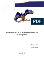 Categorización y Triangulación de la Investigación