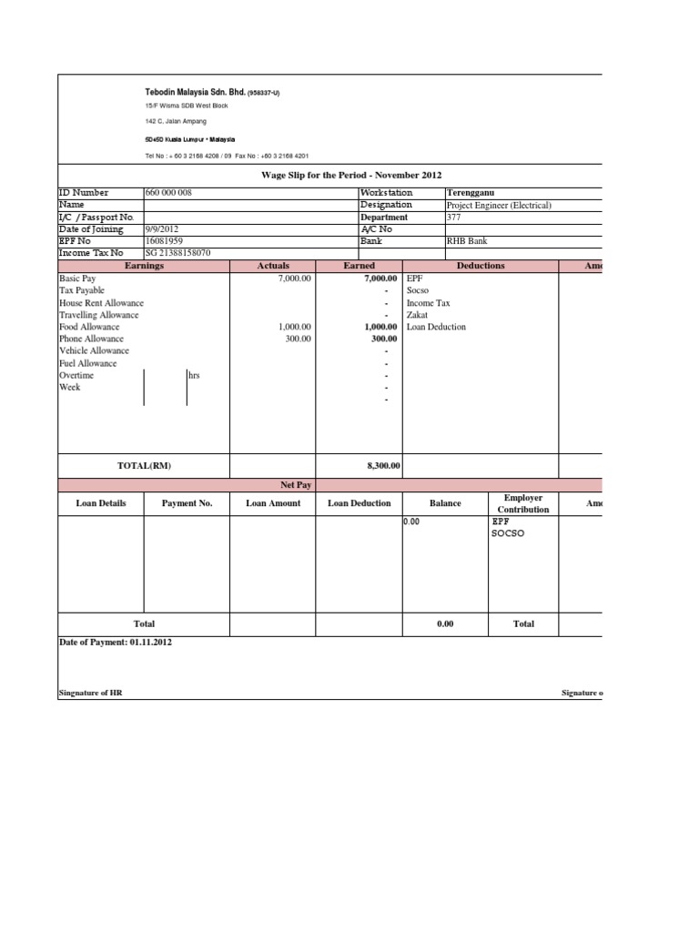 Pay Slip Sample