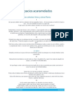 Espacios Acaramelados I PDF