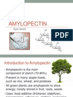 Amylopectin