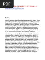 Bactéria (Reino Monera)