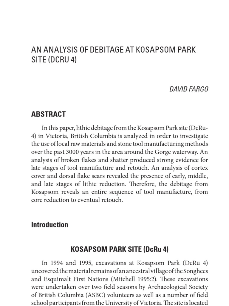 Lithic Debitage Analysis at Kosapsom Park | PDF | Stone Age | Tools