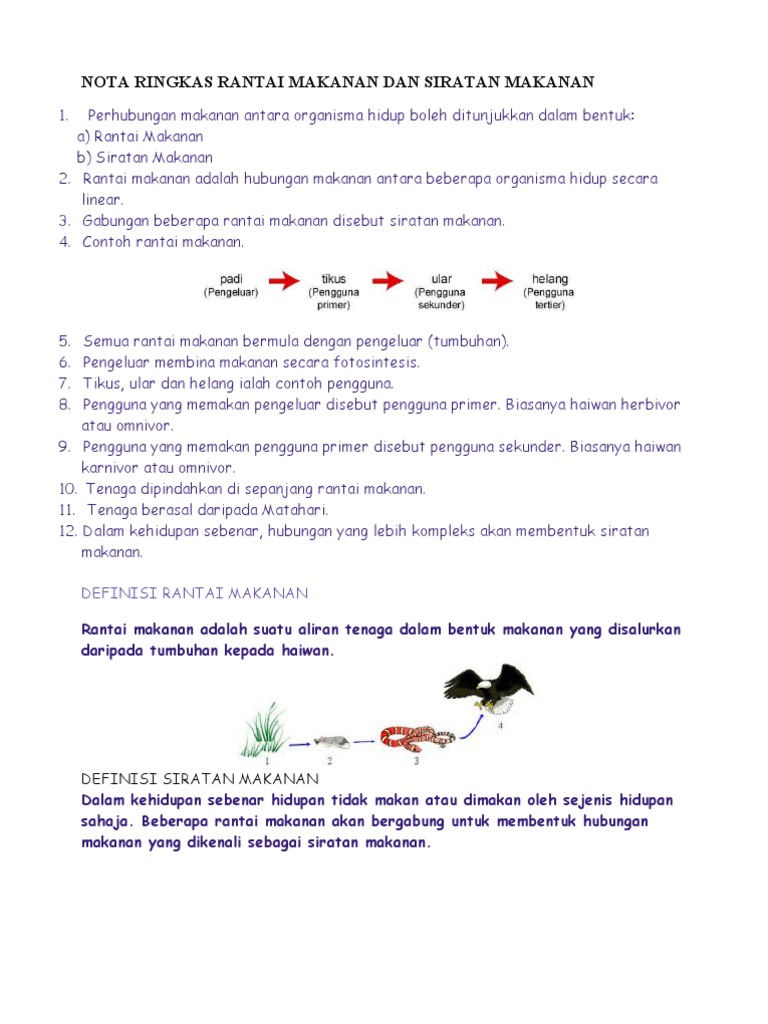Definisi Rantai Makanan Pdf