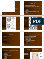 ghiandolendocrine.pdf