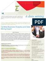 Certified Business Analytics and Data Mining Expert Brochure