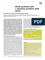 Small Heat Shock Proteins and A-Crystallins: Dynamic Proteins With Flexible Functions