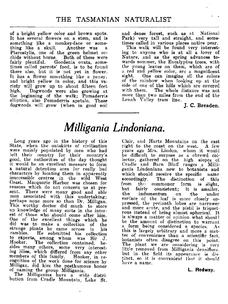 Tasmanian Flora: Milligania Species Overview | PDF | Landscape ...