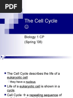 Download Cell Cycle Power Point by misterbrowner SN14988545 doc pdf