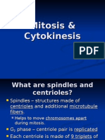 Mitosis & Cytokinesis