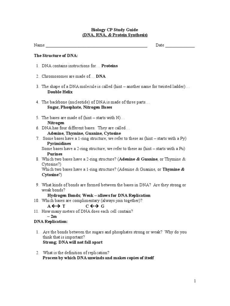 worksheet Dna Technology Worksheet biology cp study guide dna rna protein synthesis answer key translation dna