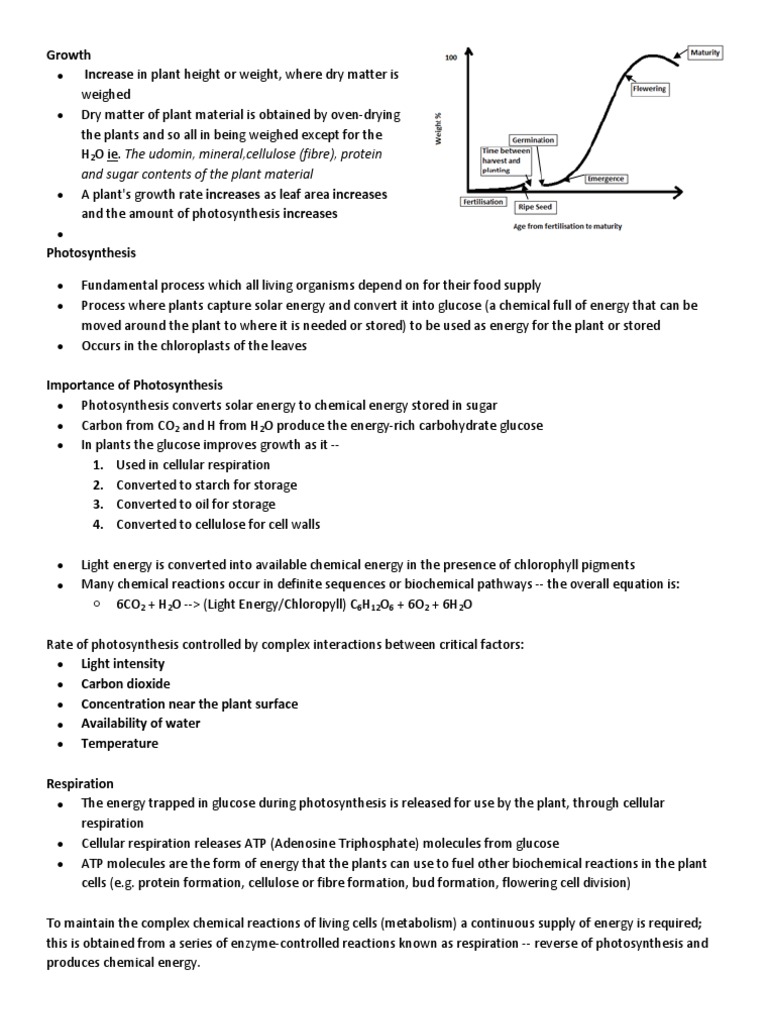 Factors Affecting Plant Growth | PDF