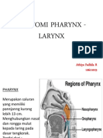 Anatomi Pharynx - Larynx