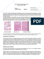 Sistema Muscular Guc3ada 33