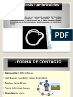 Lombrices intestinales: causas, síntomas y tratamiento de la Ascariasis