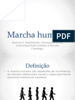 Slides Marcha Humana