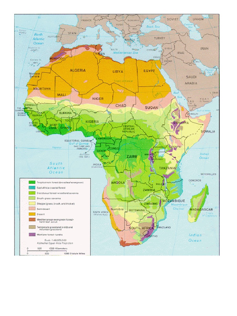 vegetaci-n-de-africa-pdf