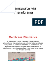 Seminário+Fisio.+Veg.+2-TRANSP.+DE+MEMBRANA - PPT