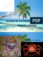 Álbum de fotografías