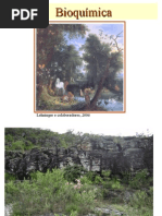 Logica Molecular Da Vida