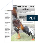 Download Merawat Ayam Bangkok by darconababan SN149969347 doc pdf
