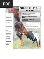 Download Merawat Ayam Bangkok by darconababan SN149969347 doc pdf