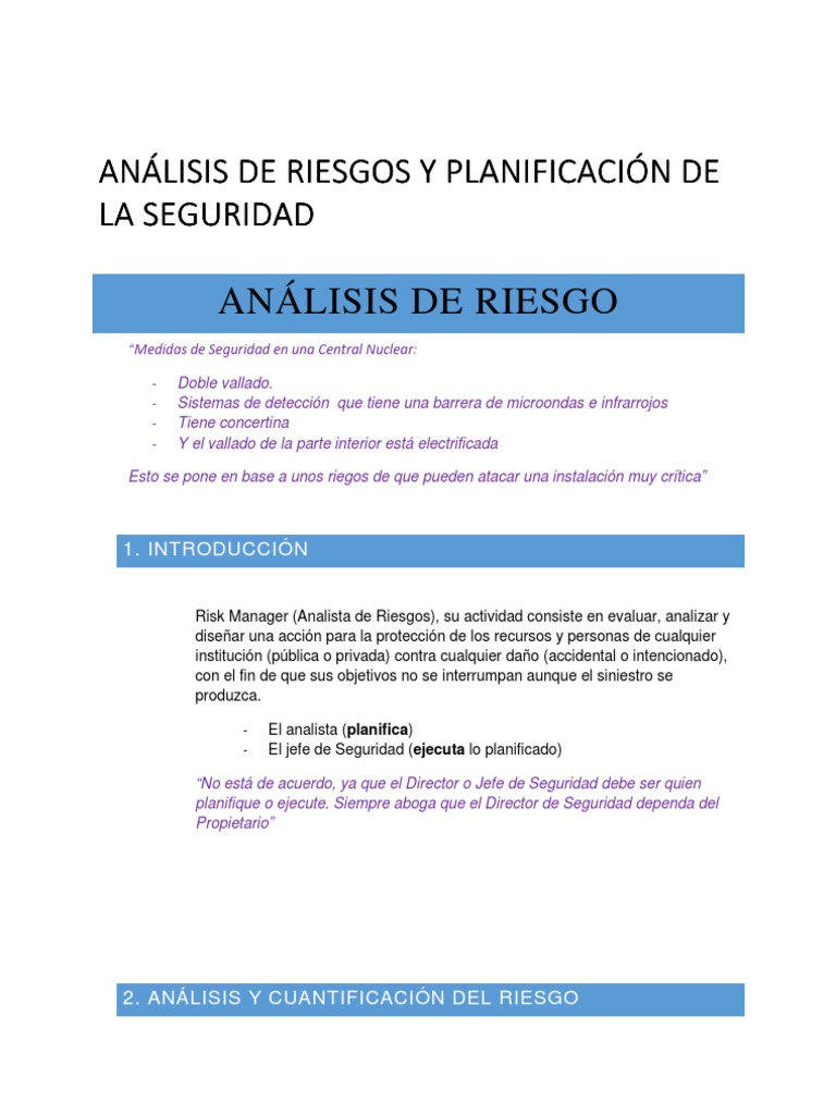 Análisis De Riesgos Y Planificación De La Seguridad Pdf Pdf La