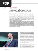 neurociência explica
