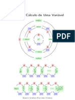 Curso Calculo 1 Livro UFRJ