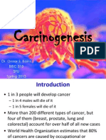 BISC 313 - Carcinogenesis