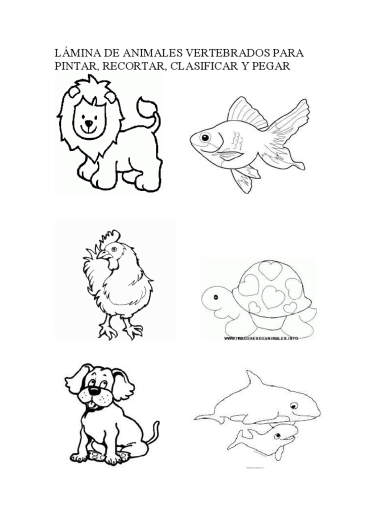 Dibujos Animales Invertebrados Para Colorear